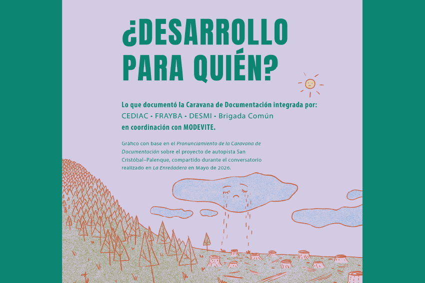 ¿Desarrollo para quién?